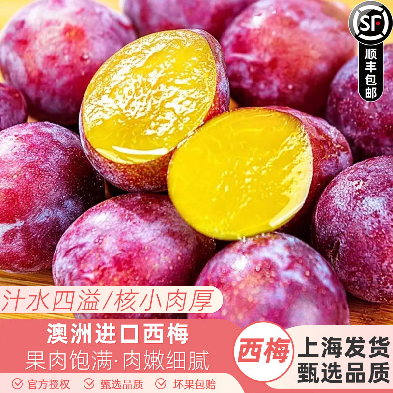 澳洲进口西梅5斤水果当季现摘新鲜大西梅脆甜李子鲜果顺丰包邮