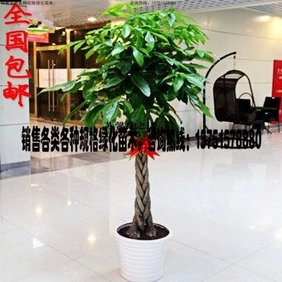 网友分享在meiguo.com上的图片