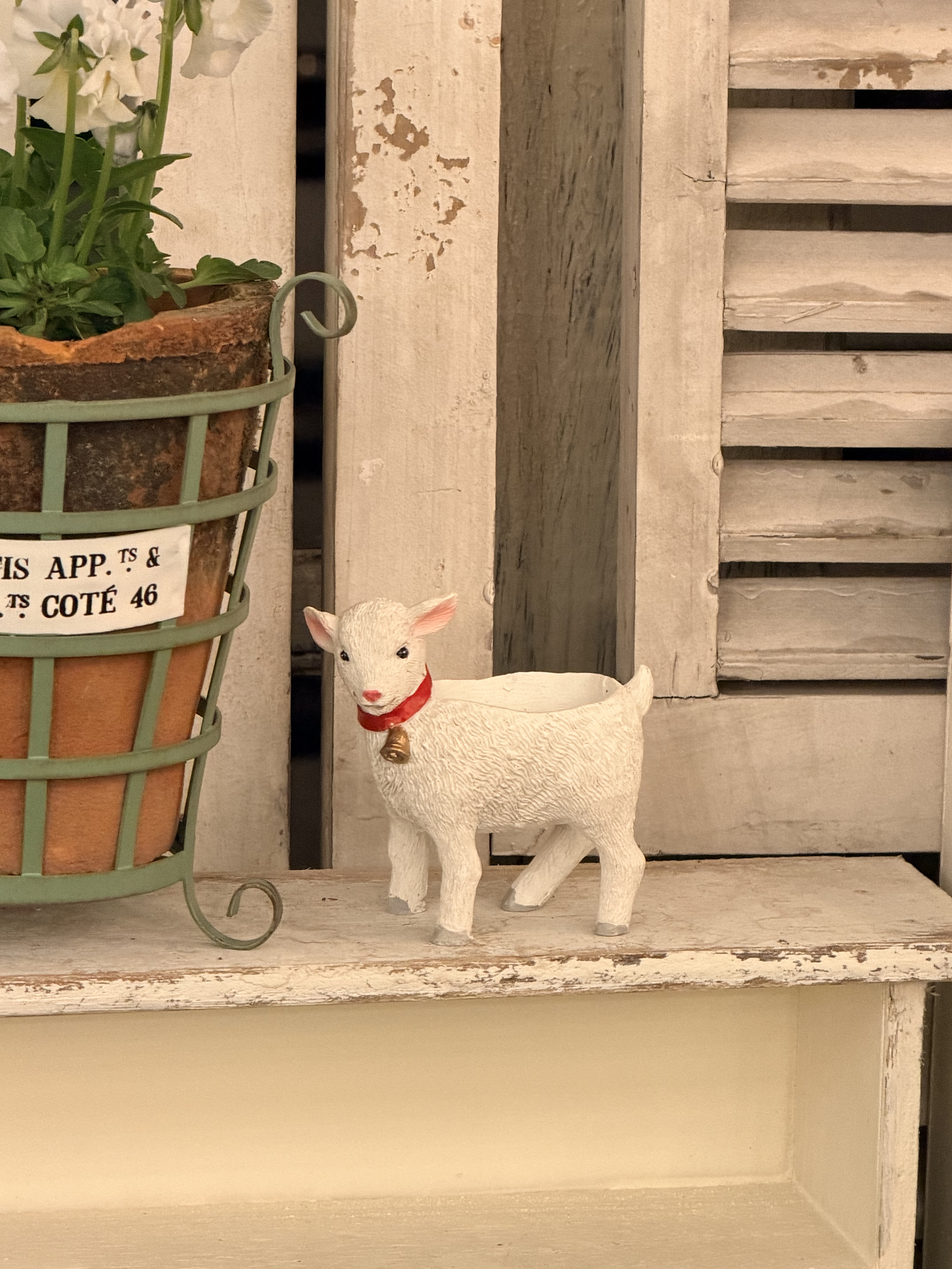 树脂兔子花盆,鲜花速递/花卉仿真/绿植园艺,其它园艺用品,淘宝优惠券,粉丝福利购,淘宝优惠卷