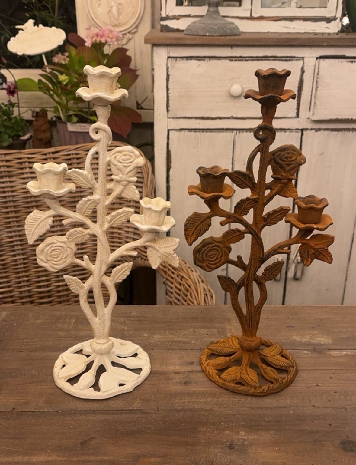 铸铁玫瑰烛台花园装饰摆件杂货复古 ins 花房蜡烛氛围家居,鲜花速递/花卉仿真/绿植园艺,时令草本花卉,淘宝优惠券,粉丝福利购,淘宝优惠卷