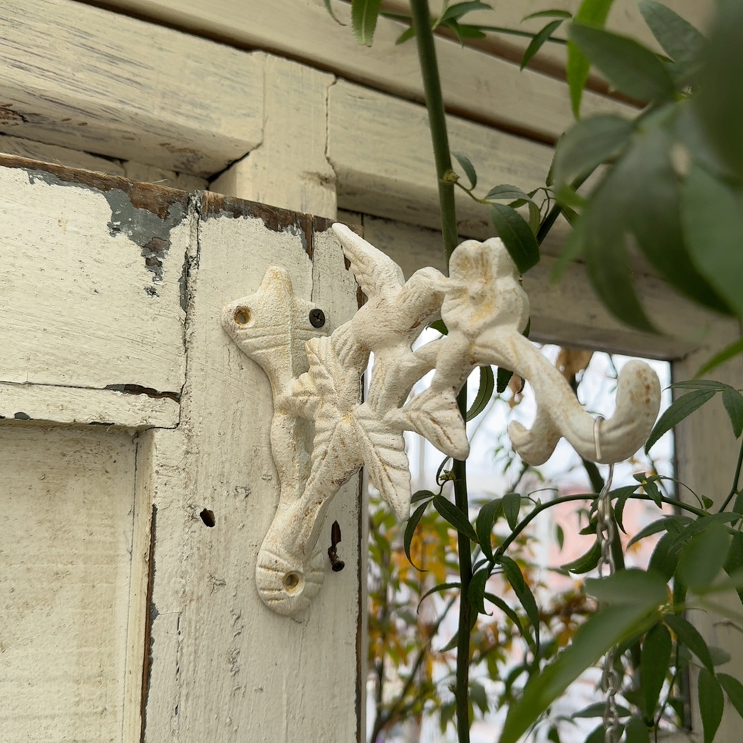 铸铁挂钩特价,鲜花速递/花卉仿真/绿植园艺,时令草本花卉,淘宝优惠券,粉丝福利购,淘宝优惠卷