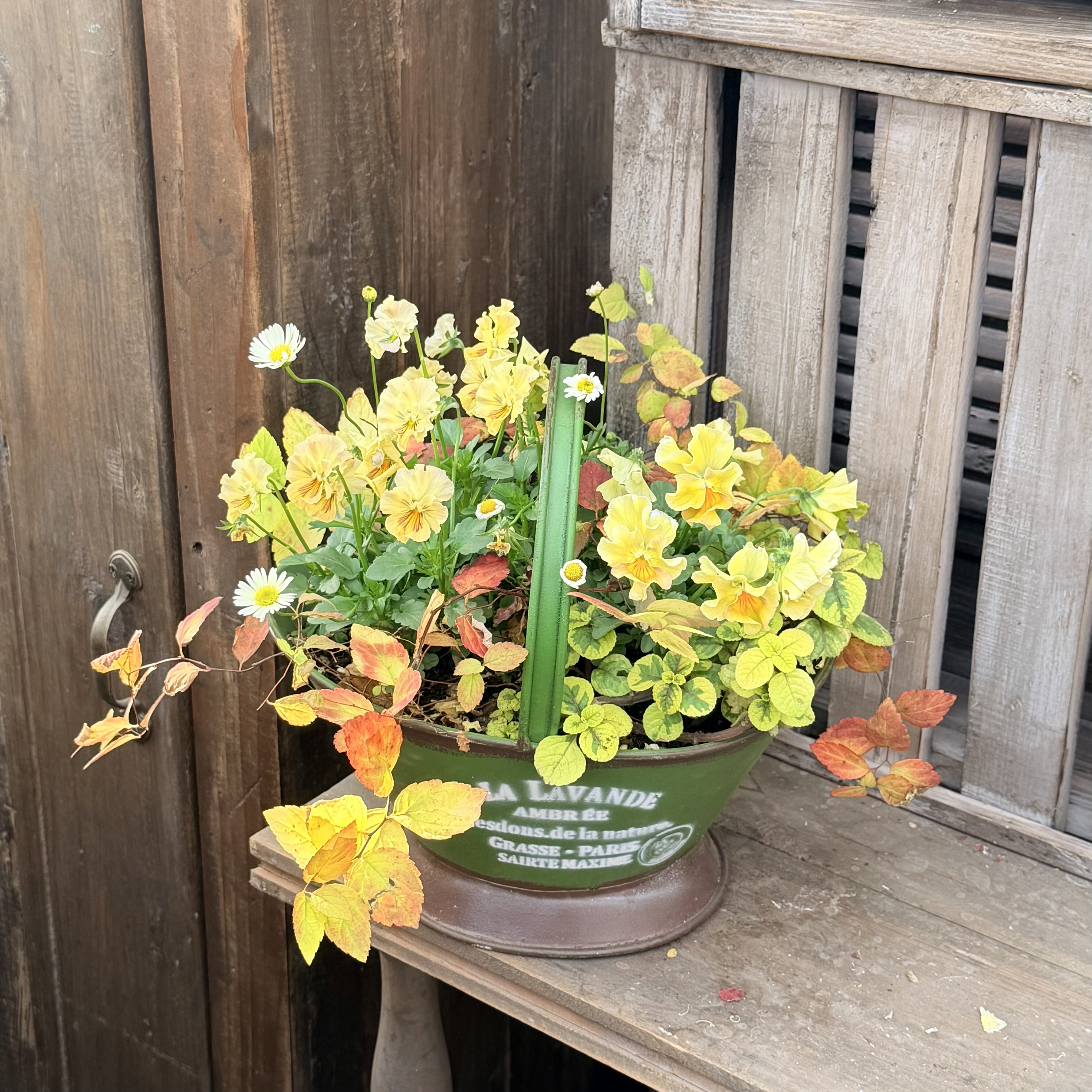 日系铁艺花盆提篮杂货装饰花园草花角堇组盆花盒复古做旧园艺,鲜花速递/花卉仿真/绿植园艺,其它园艺用品,淘宝优惠券,粉丝福利购,淘宝优惠卷