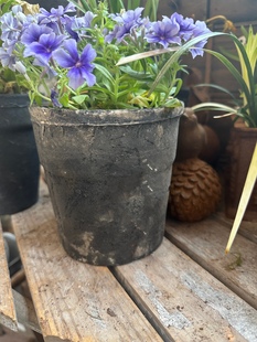 瓦盆大宽边黑陶盆透水透气手工复古花盆