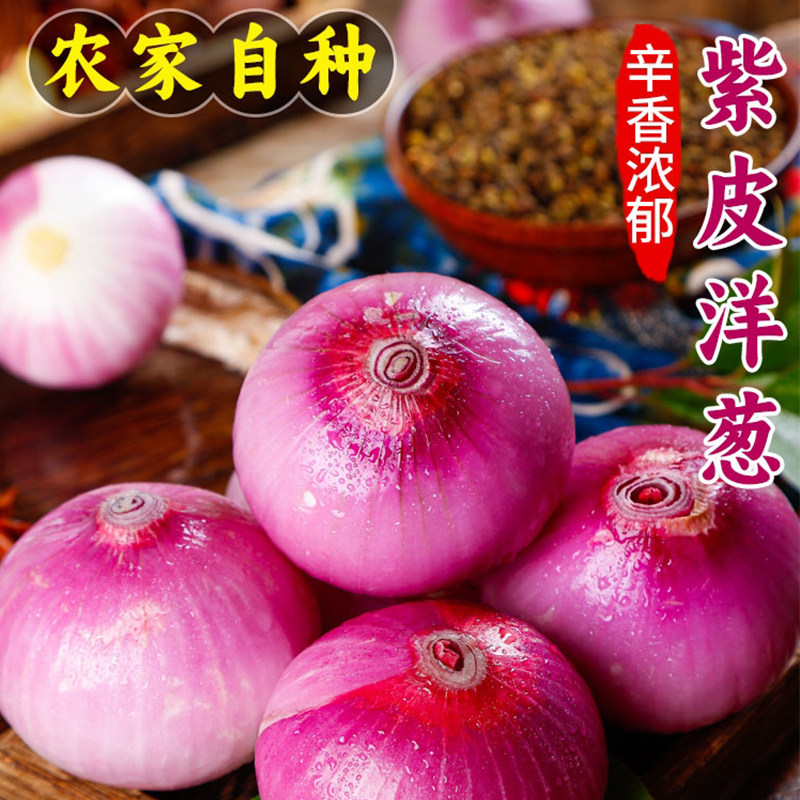 新鲜当应季洋葱农家自种现挖整箱洋葱/红葱头