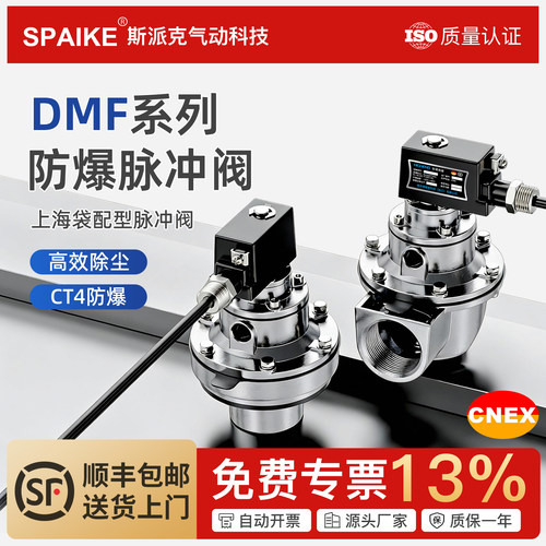 CT4防爆电磁脉冲阀直角式淹没式