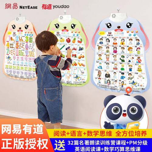 有道挂图宝宝有声早教平面挂图点读发声书婴幼儿童识字学习启蒙玩具拼音字母表玩具认知字母表墙贴幼小衔接学习神器启蒙益智教宝宝