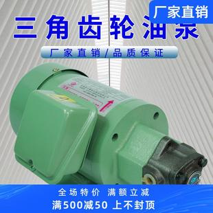 全新齿轮油泵电机摆线泵电动工业耐高温供油润滑机床车床液压齿轮