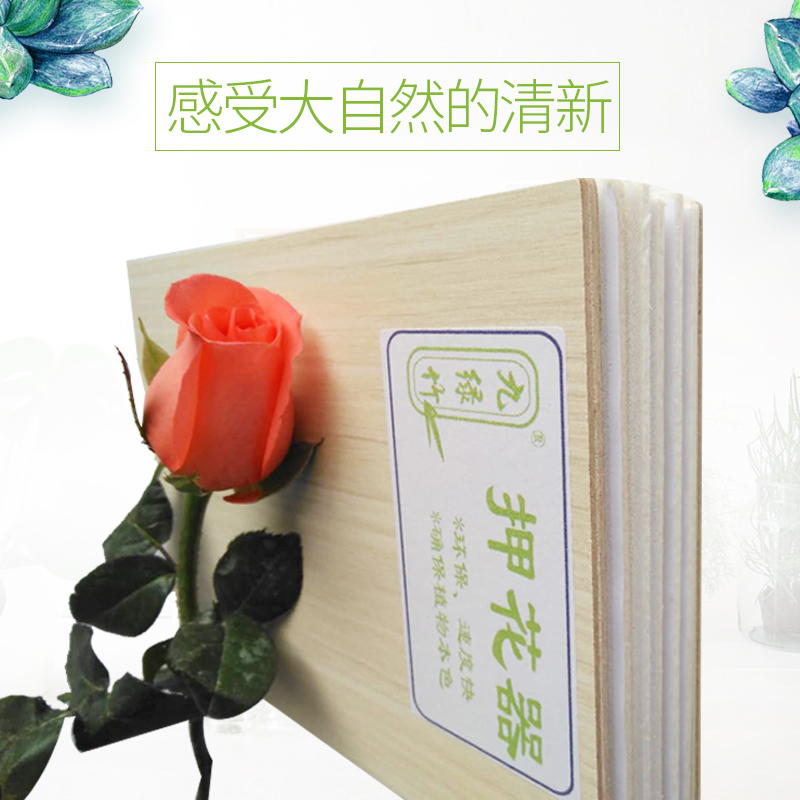 九绿竹专业新款手工押花器压花器水果片干花包制作工具压花套装