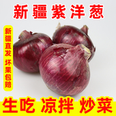 新疆紫洋葱皮牙子新鲜蔬菜生吃凉拌炒菜红洋葱圆葱生鲜紫头洋葱
