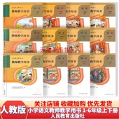 社 6年级上下册部编小学语文一二三四五六年级上下册教师用书教师招聘考试考编参考人民教育出版 人教版 小学语文教师教学用书1