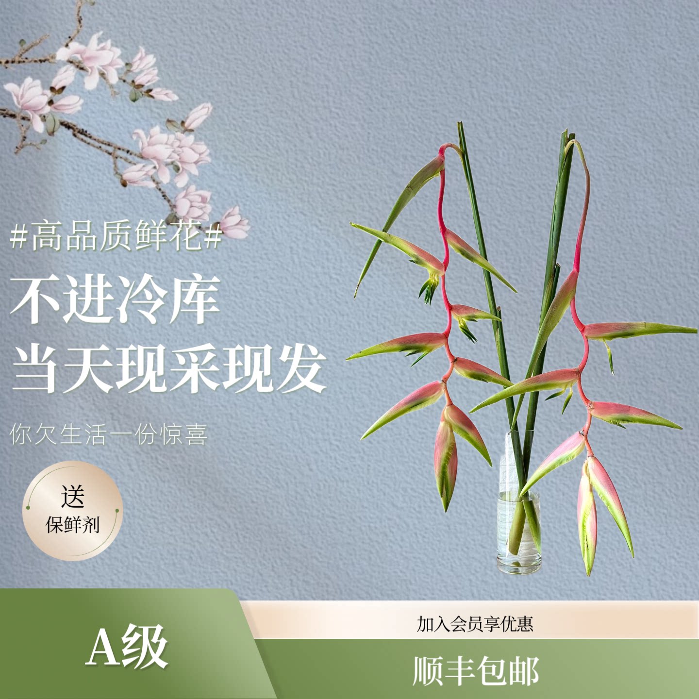 长风花舍【顺丰包邮】鲜花A级吊鸟     云南昆明基地直发