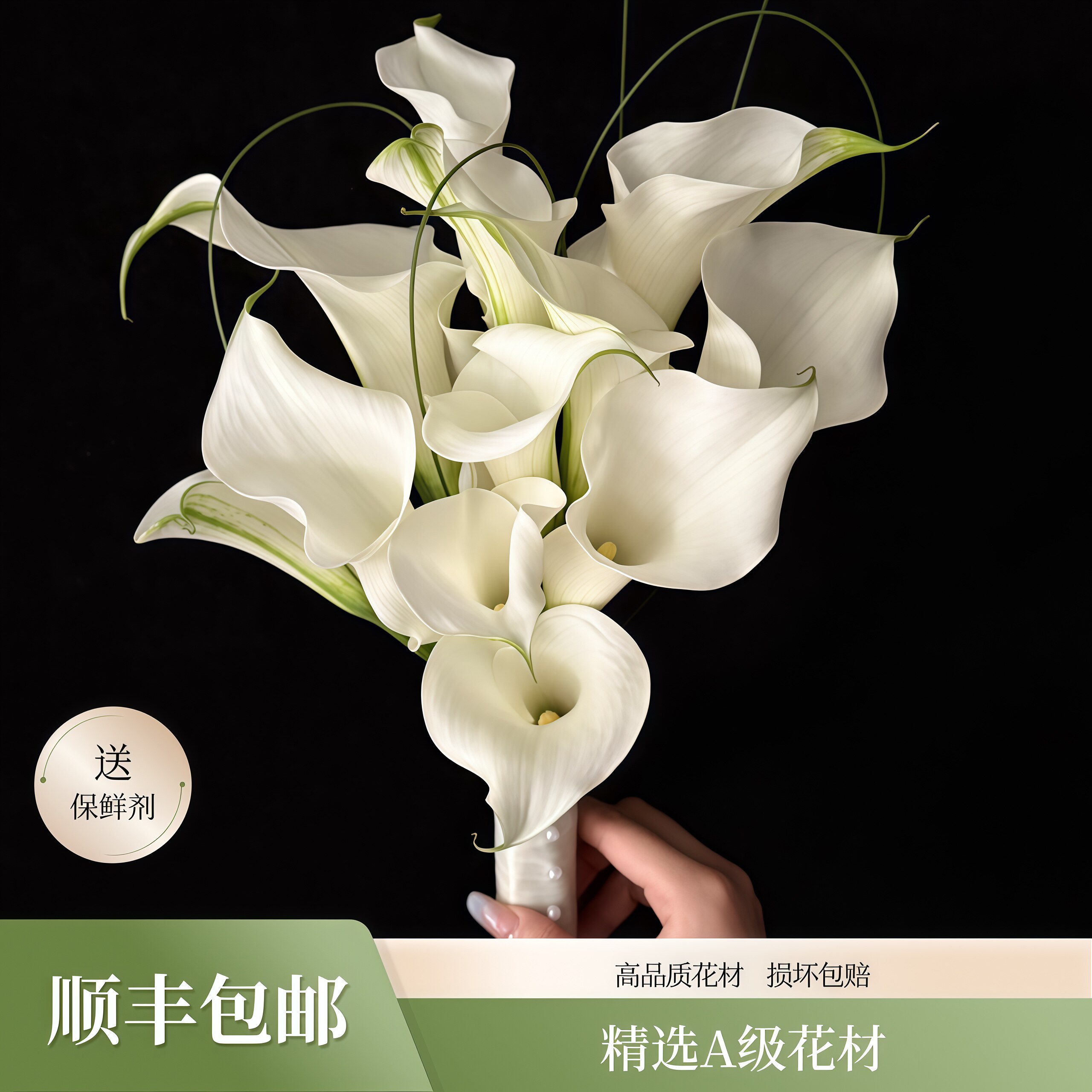 A级海芋鲜花【顺丰冷链】鲜切花客厅插花婚礼手捧花