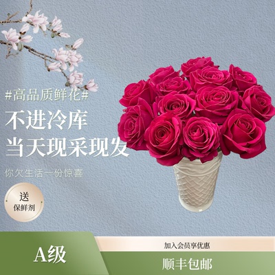 长风花舍【顺丰包邮】精品A级弗洛伊德玫瑰云南基地直发