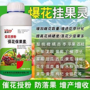 保花保果药防落素叶面肥促花授粉坐果灵果树柑橘番茄桃树芒果李子