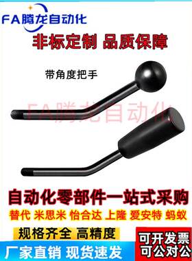 LAG/LAGN/5/6/8/10/12-30-60-100 固定型角度长手柄 带角度把手