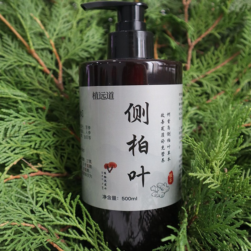 纯手工熬制侧柏叶防脱洗发水防断发精华液无硅去屑止痒控油洗发露