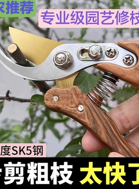 修枝剪园艺剪刀剪树枝专用园林修剪果树修枝花艺修花剪剪枝剪粗枝