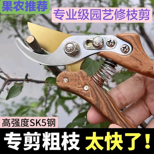 修枝剪园艺剪刀剪树枝专用园林修剪果树修枝花艺修花剪剪枝剪粗枝