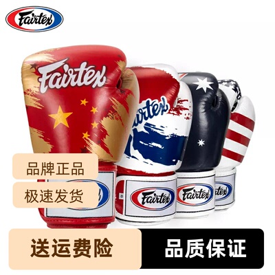 泰国Fairtex沙袋训练手套格斗泰拳专业套泰拳散打击牛皮成人搏击