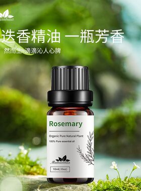 Rosemary迷迭香单方精油香薰精油补充液单方精油持久按摩护肤spa