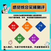 乐智虎娃儿童感觉统合实操测评感统教具测试专注力训练注意力机构