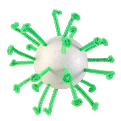 制作草履虫生物细胞模型手工动物植物材料包初高中细菌单细胞教具