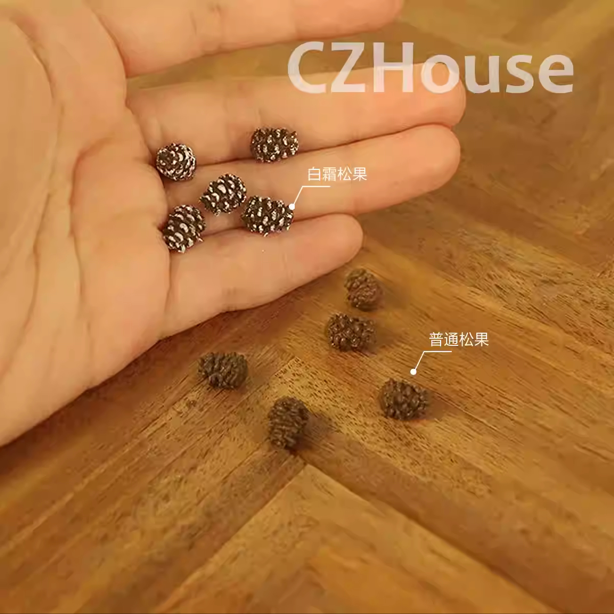 糖小条迷你松果微缩模型食玩陈郎blythe娃用场景圣诞娃屋装饰