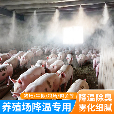 雾森系统高压养殖降温喷雾