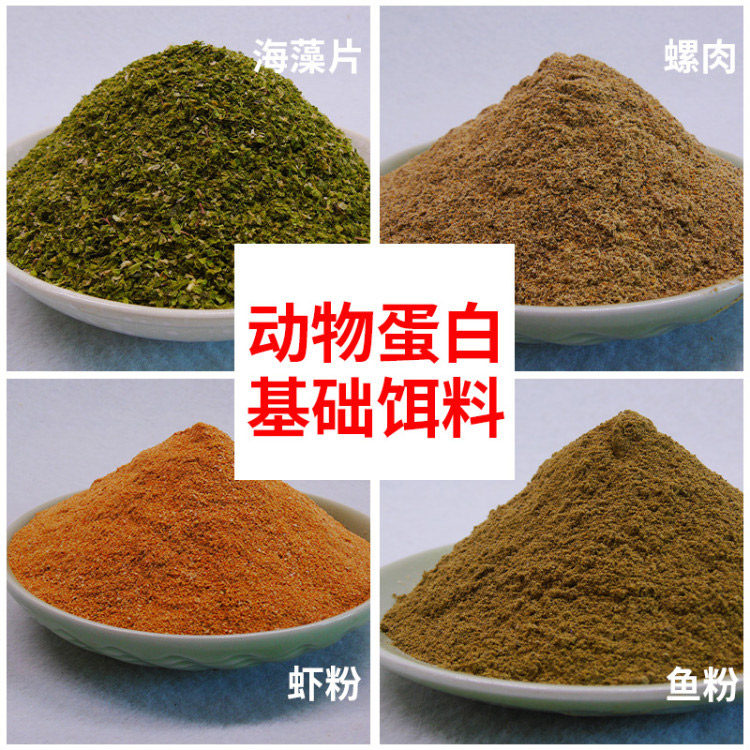 鱼饵钓鱼饵料海藻片动物蛋白虾粉螺肉海藻粉基础饵鲫鱼鲤鱼食包邮