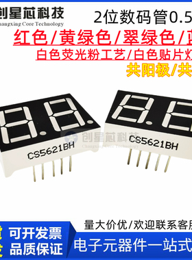 0.56英寸2位数码管CS5621AW/BW二位白色荧光粉数显屏双位白光8段