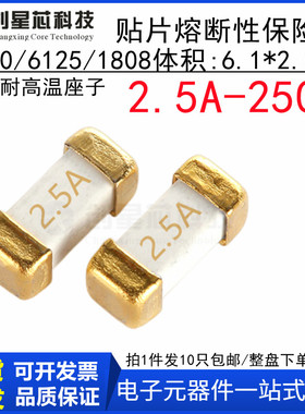 2.5A 250V 贴片慢熔断保险丝1808/6125/2410-T250 2.5A 6.1x2.5mm
