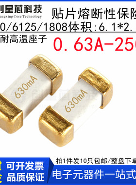0.63A 250V 贴片慢熔断保险丝1808/6125/2410-T063 250V 6.1x2.5m