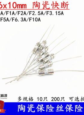 3.6x10mm 陶瓷保险丝保险管 F0.5A 1A 3.15A 6.3 10A 250V 带引脚