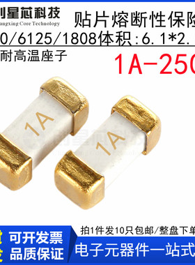 1A 250V 贴片慢熔断保险丝1808/6125/2410-T100 1A 6.1x2.5mm底座