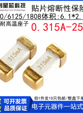 0.315A 250V贴片慢熔断保险丝1808/6125/2410-T0315 250V 6.1x2.5