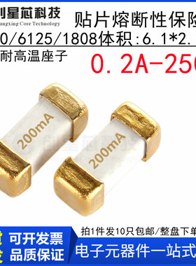 0.2A 250V 贴片慢熔断保险丝1808/6125/2410-T020 250V 6.1x2.5mm