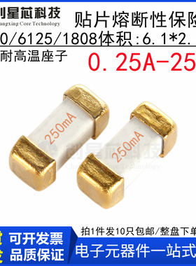 250mA 250V 贴片慢熔断保险丝1808/6125/2410-T025 250mA 6.1x2.5