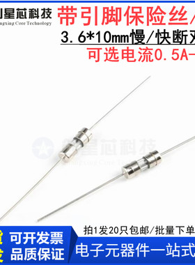 3.6*10mm带引脚保险丝
