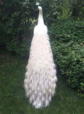 新款仿真白色羽毛拖尾孔