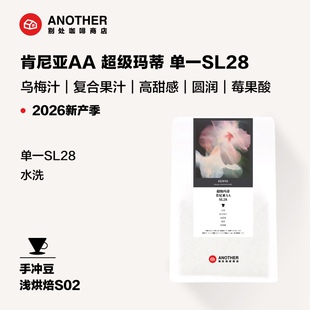 别处咖啡2026新产季肯尼亚AA水洗SL28超级玛蒂合高甜小番茄咖啡豆