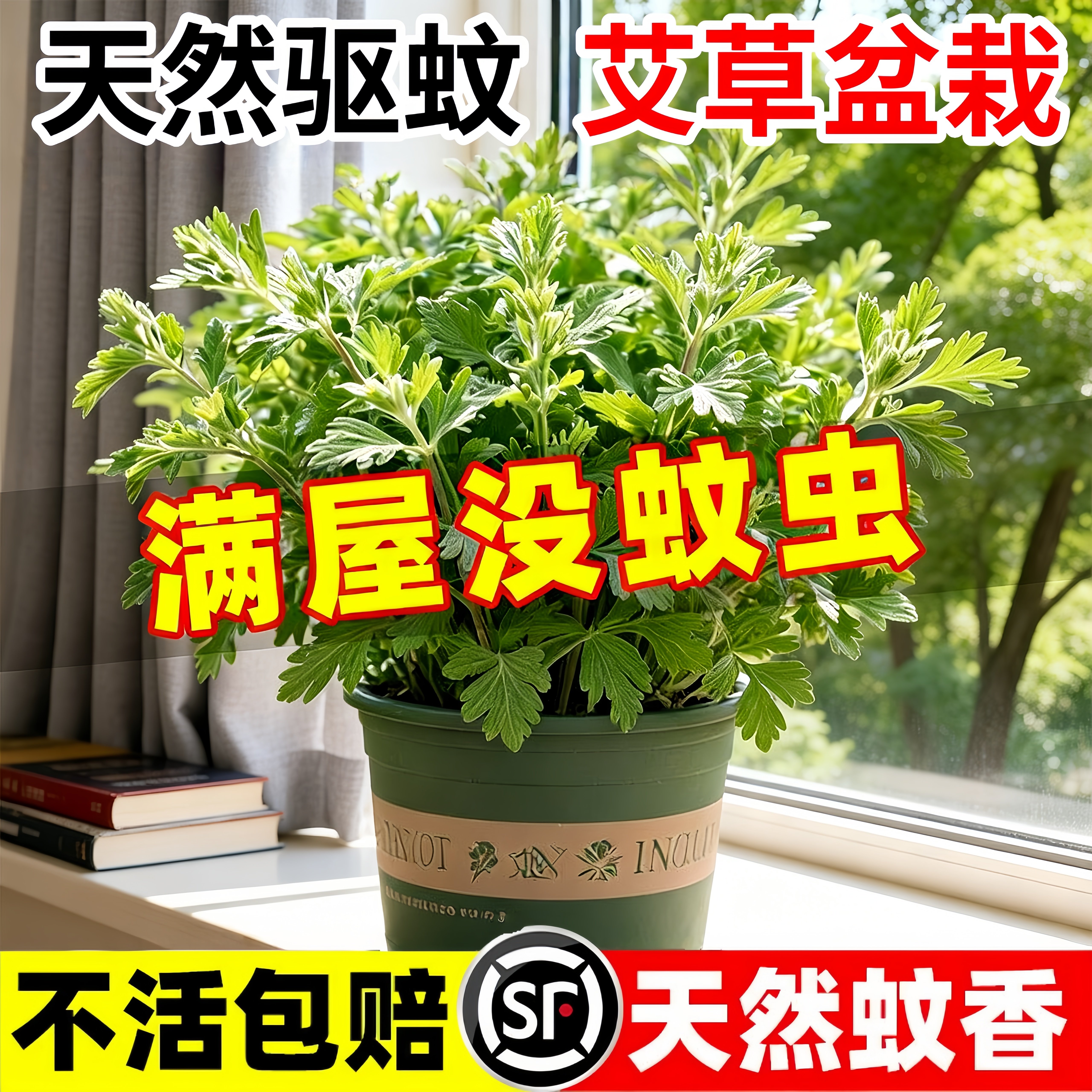艾草盆栽驱蚊植物室内外阳台可食用香草绿植盆栽防虫小叶艾蒿端午