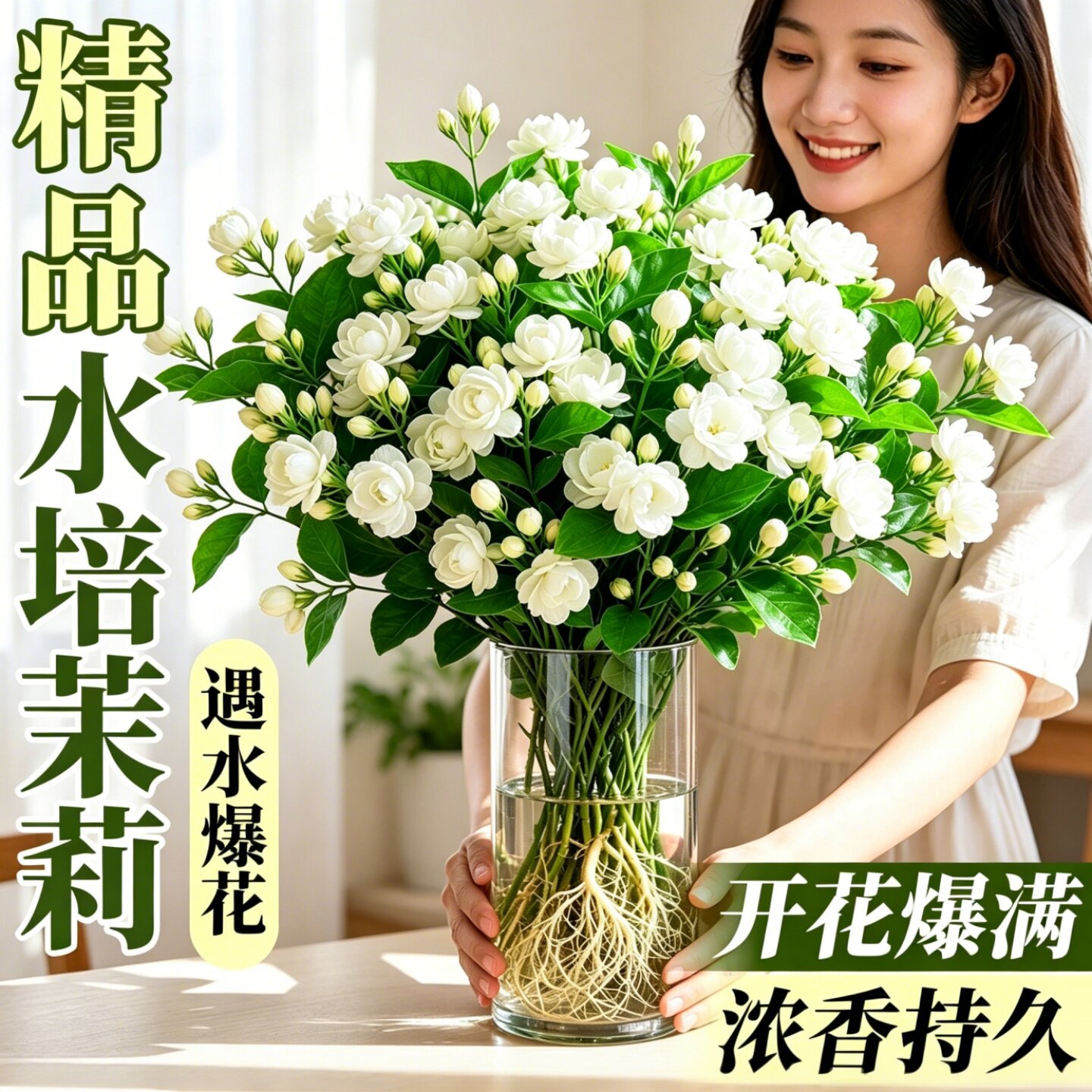 水培茉莉花带花苞盆栽适合室内办公室治愈绿植四季可养浓香型花卉
