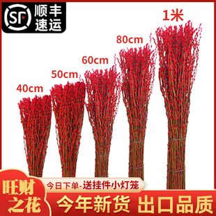 银柳真花鲜枝干花摆件红色花卉室内客厅植物年宵装饰盆栽绿植鲜花