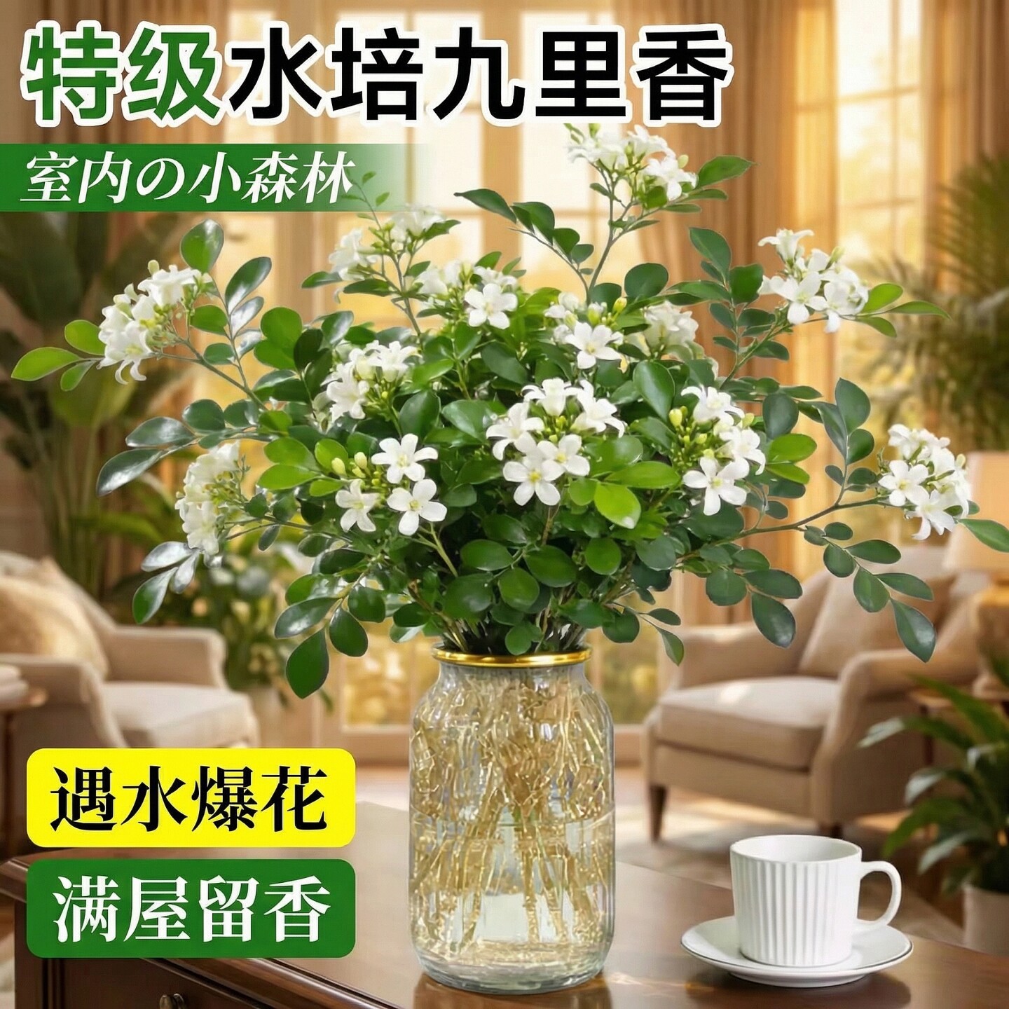 九里香水培植物盆栽带花苞花卉绿植室内办公室桌面水养茉莉花好养