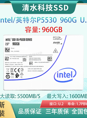Intel/英特尔P5530 960G/1.92T U.2 PCIE4.0 企业级固态硬盘 NVME