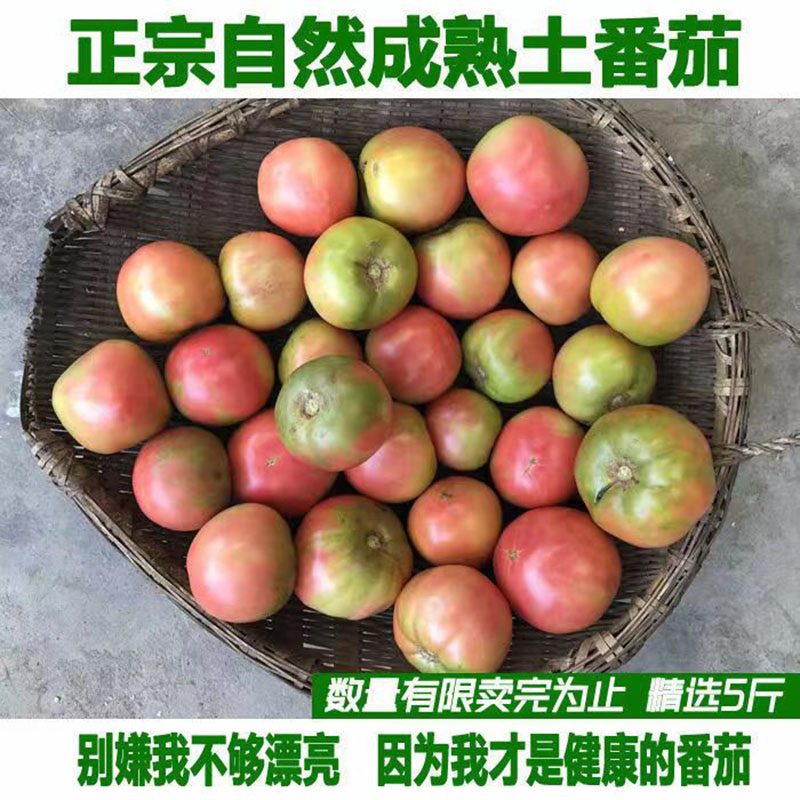 顺丰自然熟土番茄农家不打药西红柿鲜食原汁原味小时候草莓西红柿