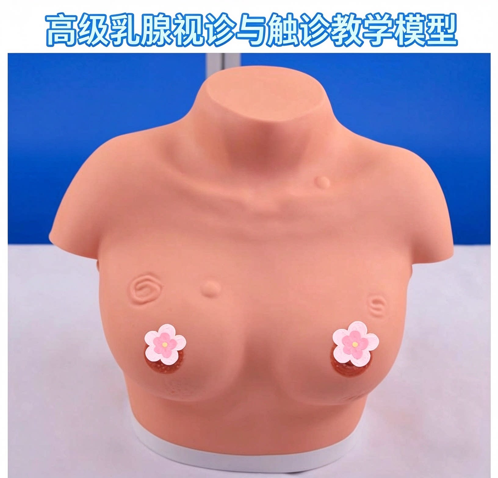 女性乳房乳腺检查模型 高级乳腺视诊与触诊模型医学临床教学模型