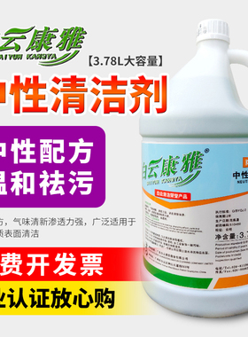白云康雅中性清洁剂马桶厨房去渍酒店拖地除尿垢大桶装绿水KY112