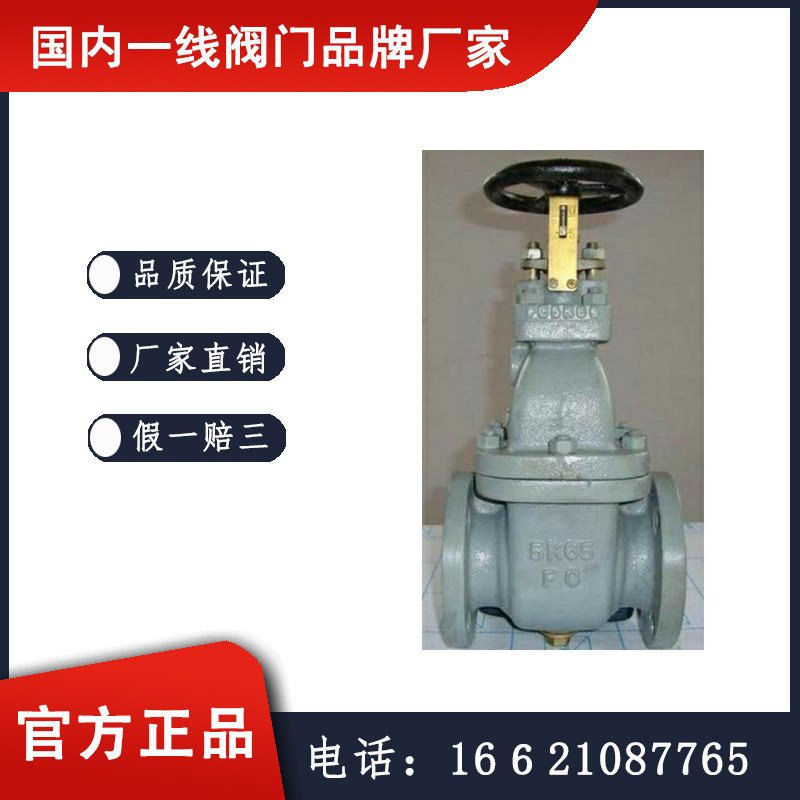 F7364船用法兰铸铁闸阀 国内一线品牌 纽威阀门