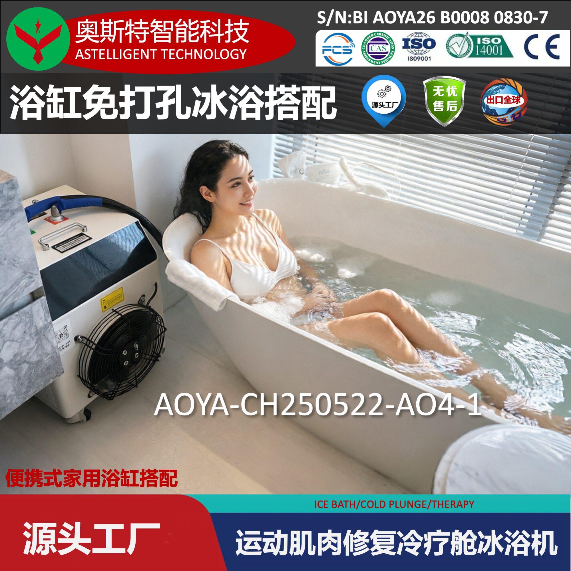浴缸家用冷水机冰浴冷疗机户外理疗冷暖一体运动后修复肌肉制冷机